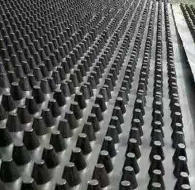 江門雙向鋼塑土工格柵廠家規(guī)格推薦