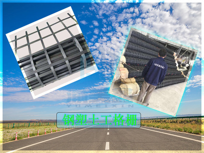 土工格柵與鋼塑土工格柵的應用與優勢